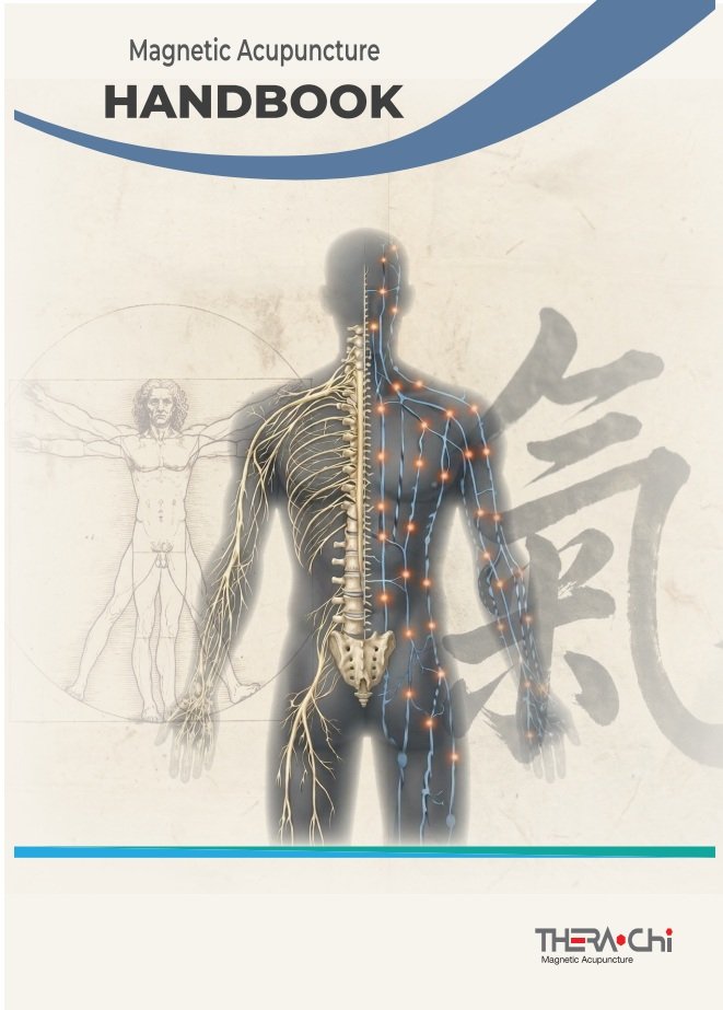 Handbook - Downloadlbare Ausgabe